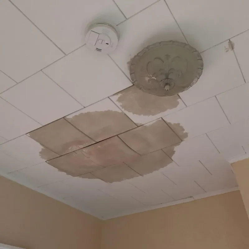 Ceiling Water Damage Repair in Rheems, PA